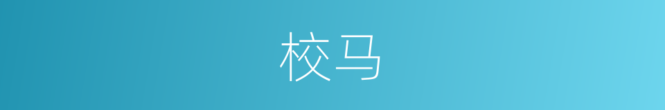 校马的同义词