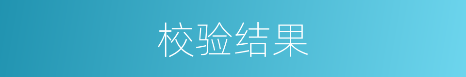 校验结果的同义词