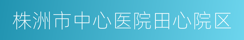 株洲市中心医院田心院区的同义词