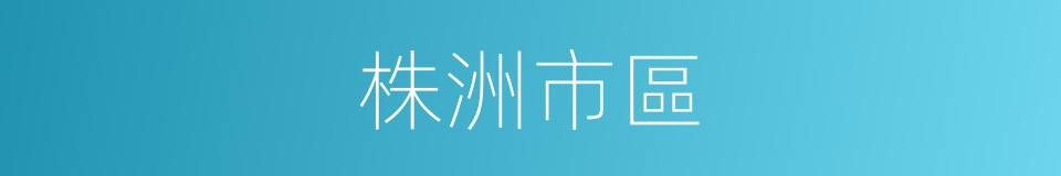 株洲市區的同義詞