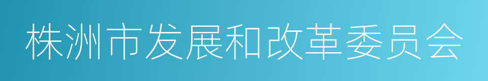 株洲市发展和改革委员会的同义词