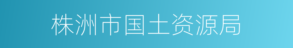 株洲市国土资源局的同义词