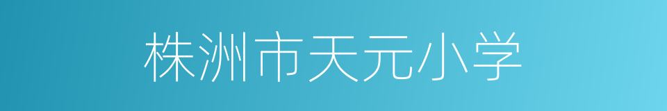 株洲市天元小学的同义词