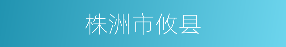 株洲市攸县的同义词