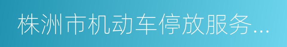 株洲市机动车停放服务收费实施细则的同义词