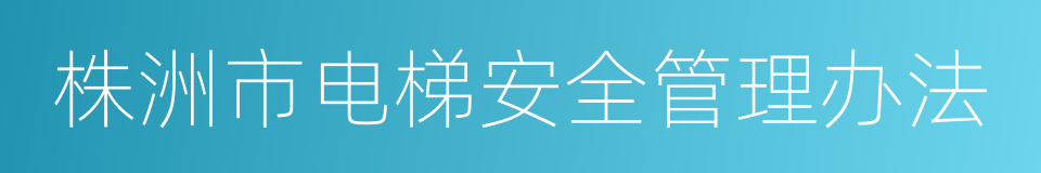 株洲市电梯安全管理办法的同义词