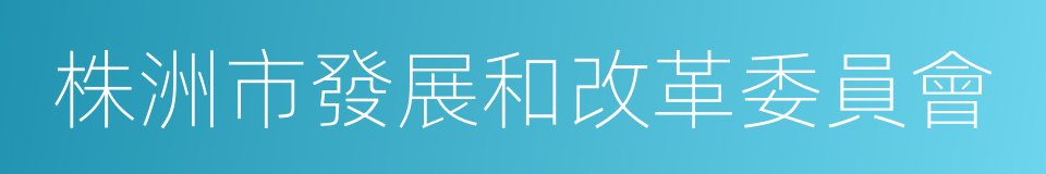 株洲市發展和改革委員會的同義詞