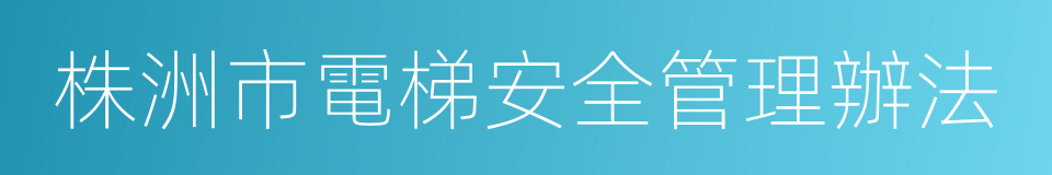 株洲市電梯安全管理辦法的同義詞