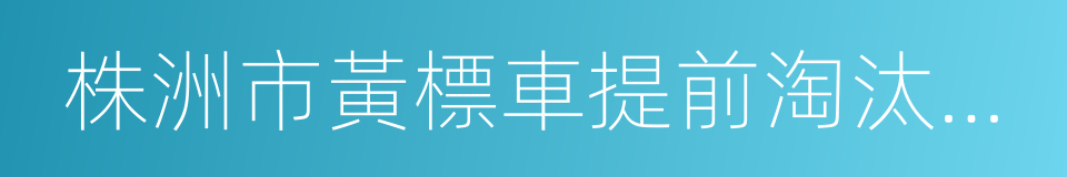 株洲市黃標車提前淘汰財政補貼實施辦法的同義詞