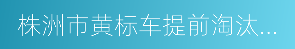 株洲市黄标车提前淘汰财政补贴实施办法的同义词