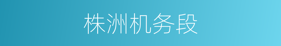 株洲机务段的同义词