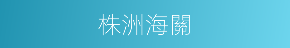 株洲海關的同義詞