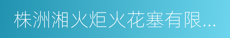 株洲湘火炬火花塞有限责任公司的同义词