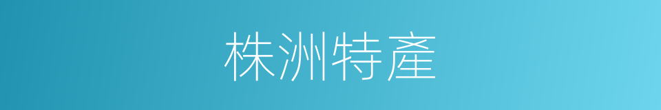 株洲特產的同義詞