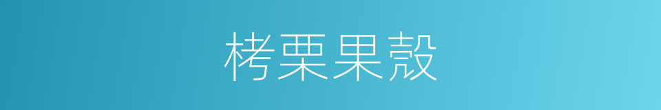 栲栗果殼的同義詞