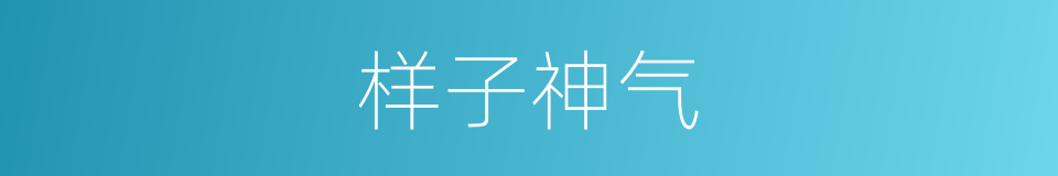 样子神气的同义词