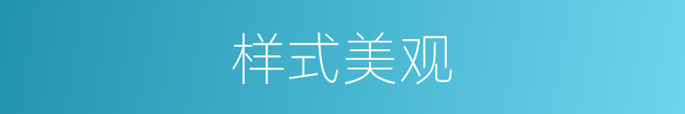 样式美观的同义词