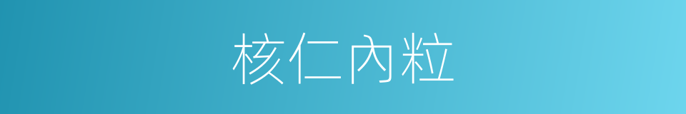 核仁內粒的同義詞