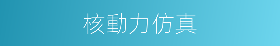 核動力仿真的同義詞