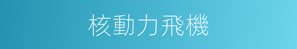 核動力飛機的同義詞