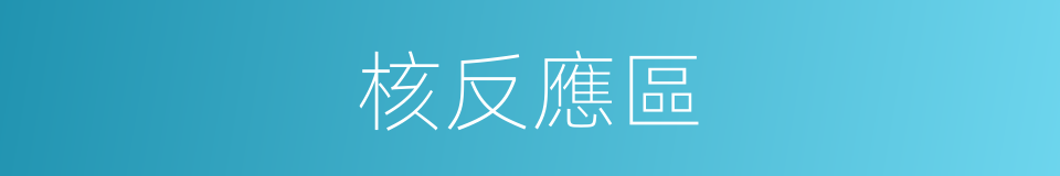 核反應區的同義詞