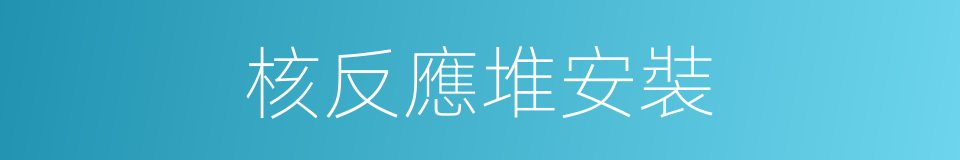 核反應堆安裝的同義詞