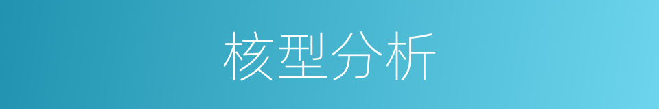 核型分析的同义词