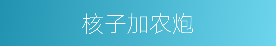核子加农炮的同义词