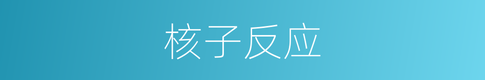 核子反应的意思