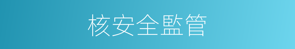 核安全監管的同義詞