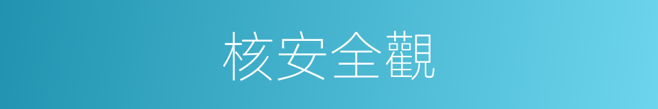 核安全觀的同義詞