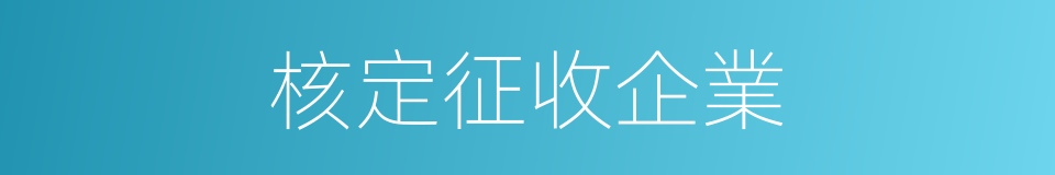 核定征收企業的同義詞