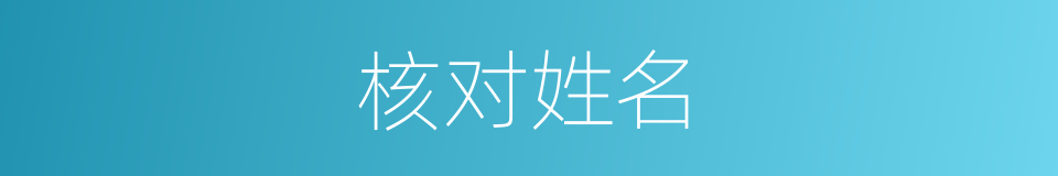 核对姓名的同义词