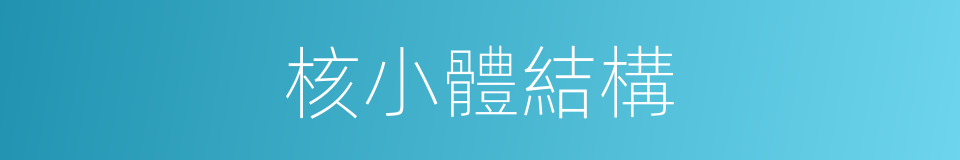 核小體結構的同義詞