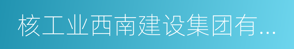 核工业西南建设集团有限公司的同义词