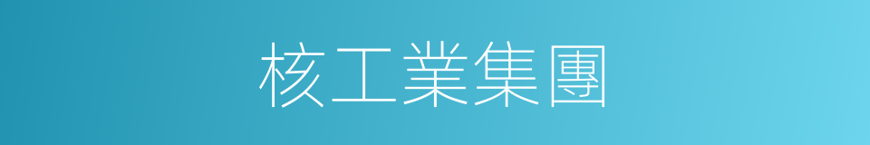 核工業集團的同義詞