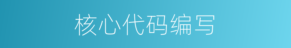 核心代码编写的同义词