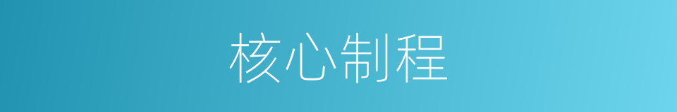 核心制程的同义词