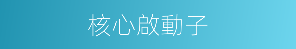 核心啟動子的同義詞