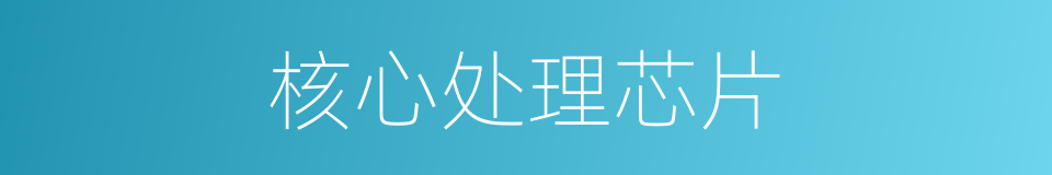 核心处理芯片的同义词