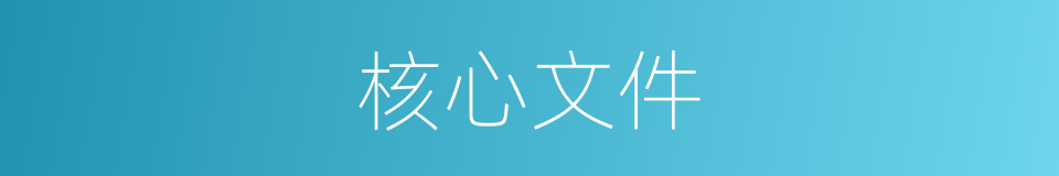 核心文件的同义词