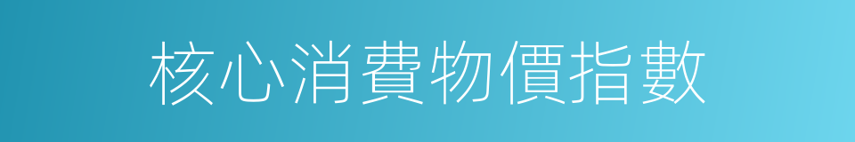 核心消費物價指數的同義詞