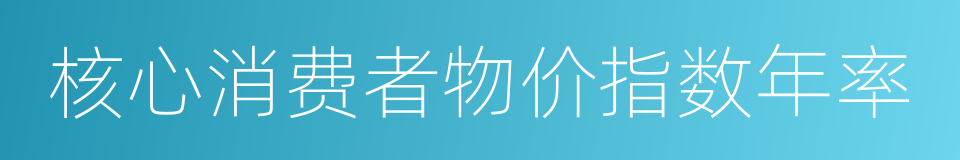 核心消费者物价指数年率的同义词