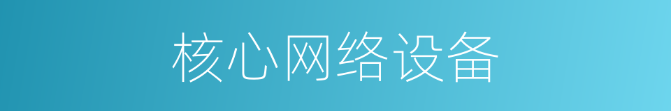 核心网络设备的同义词
