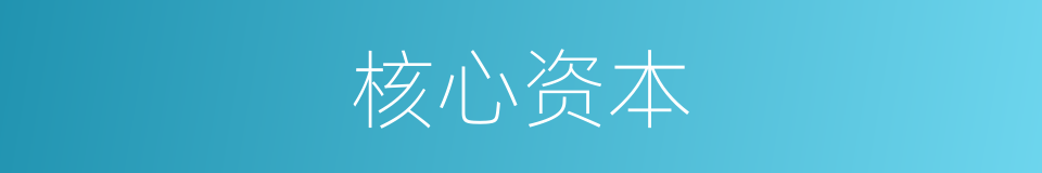核心资本的意思