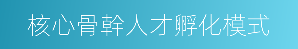 核心骨幹人才孵化模式的同義詞