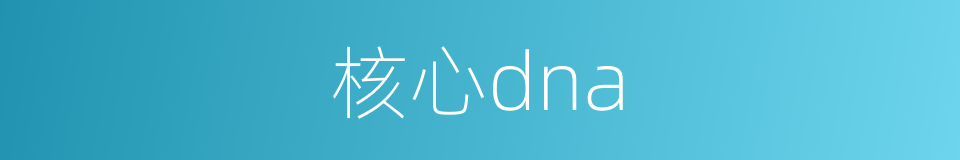 核心dna的同义词