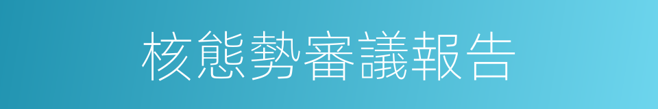 核態勢審議報告的同義詞