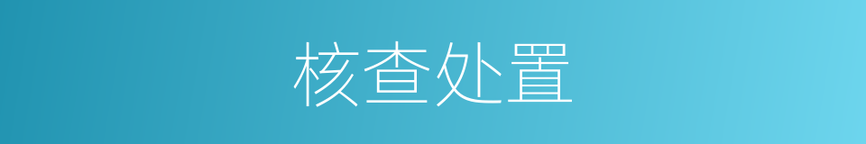 核查处置的同义词