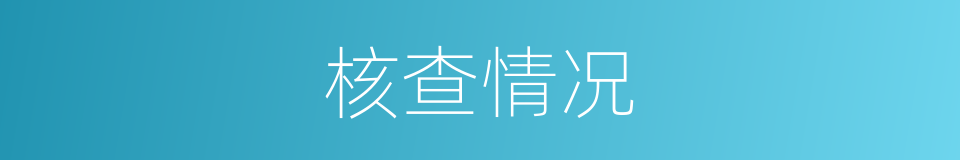 核查情况的同义词